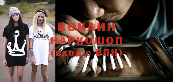 МДПВ Бородино