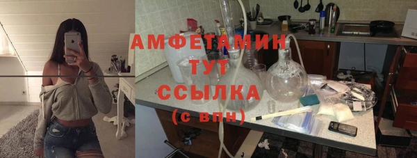 МДПВ Бородино