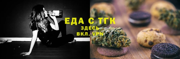 МДПВ Бородино