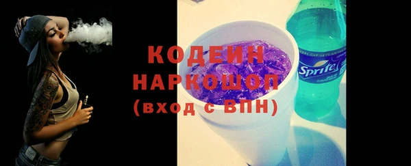 МДПВ Бородино