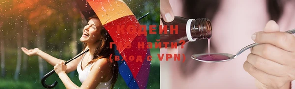 МДПВ Бородино