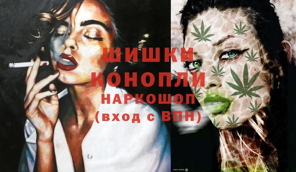 МДПВ Бородино