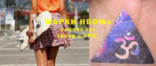 МДПВ Бородино