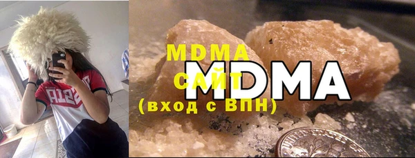 МДПВ Бородино